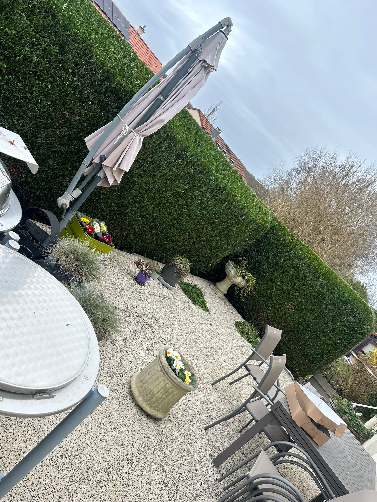 Tonte de pelouse professionnelle